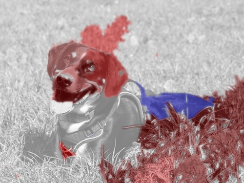 Example block output