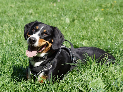 Example block output