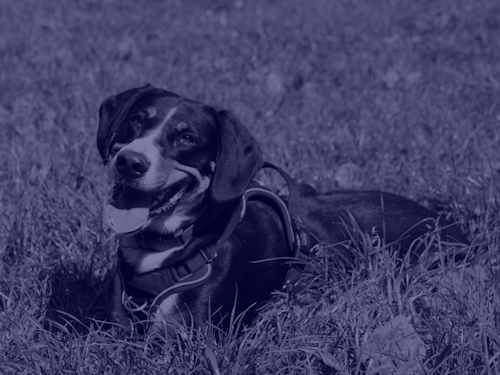 Example block output